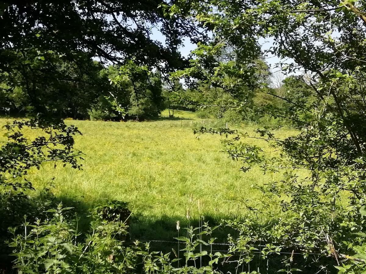 Gite Le Moulin Saint-Vaast-sur-Seulles Dış mekan fotoğraf